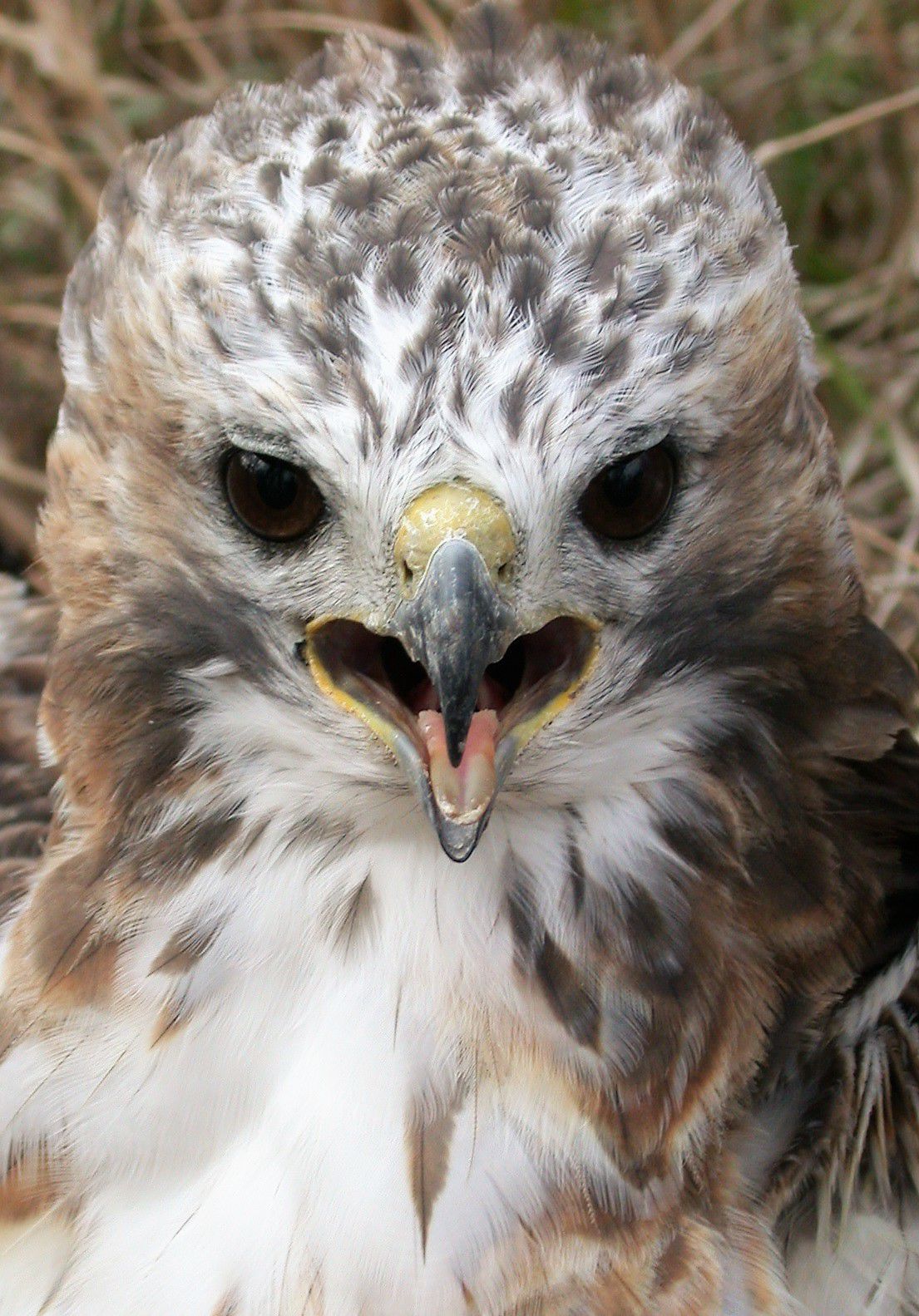A Warning Look